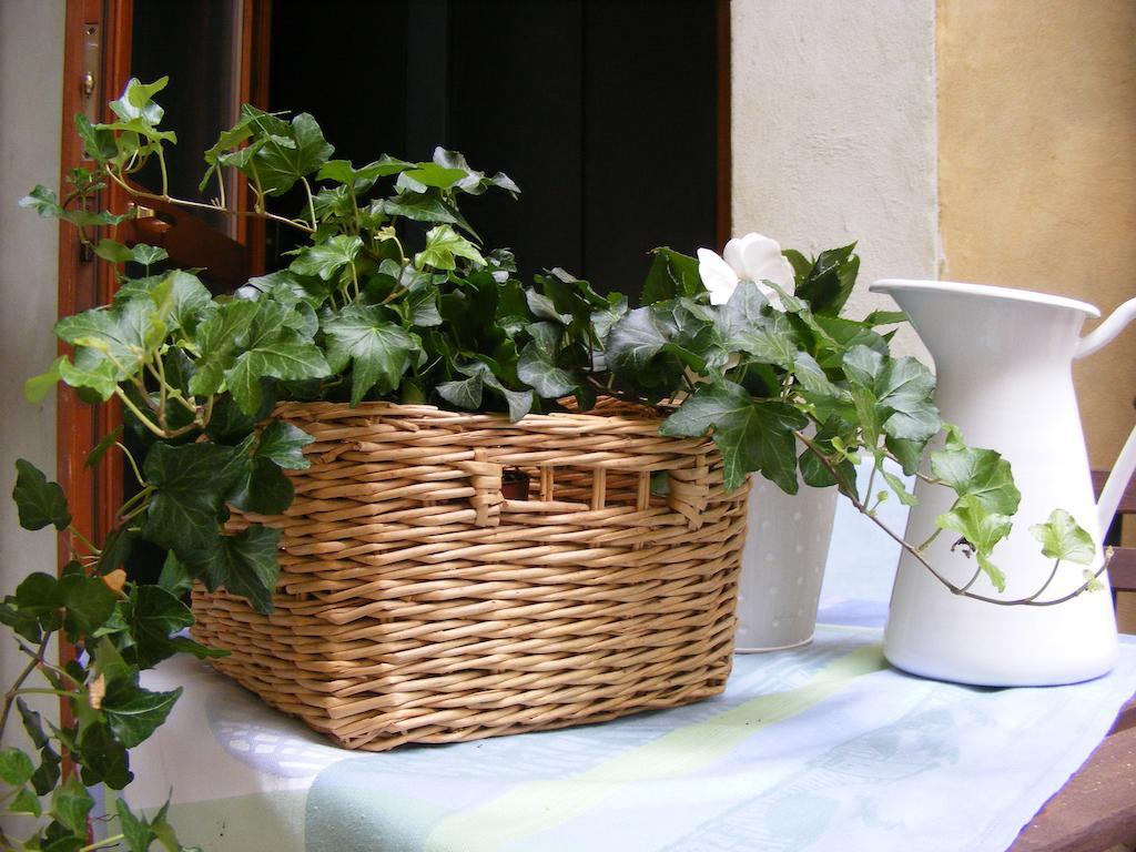 B&B Borgo Re Teodorico Verona Kültér fotó