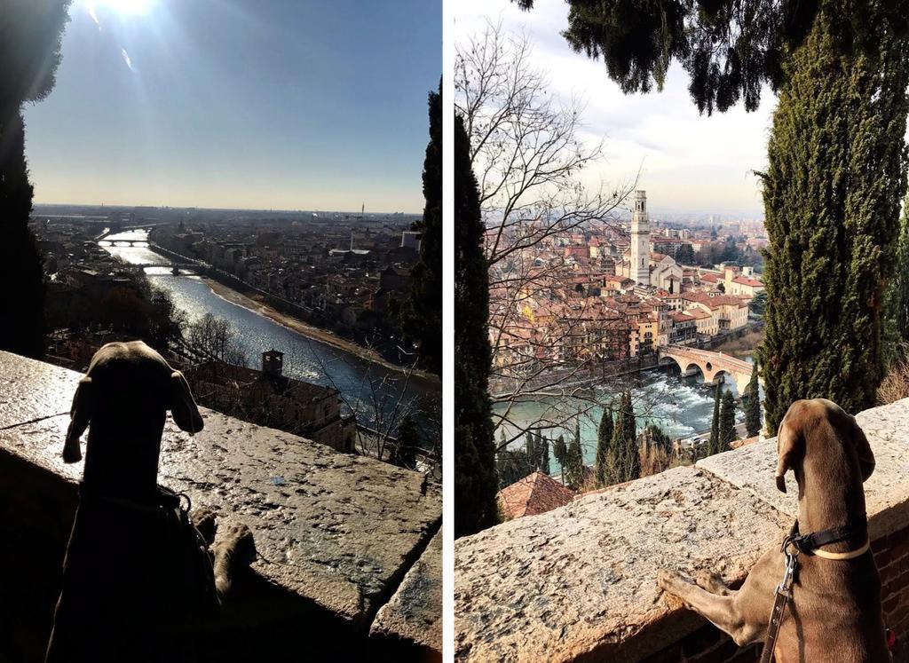B&B Borgo Re Teodorico Verona Kültér fotó